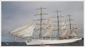 Tall ships race